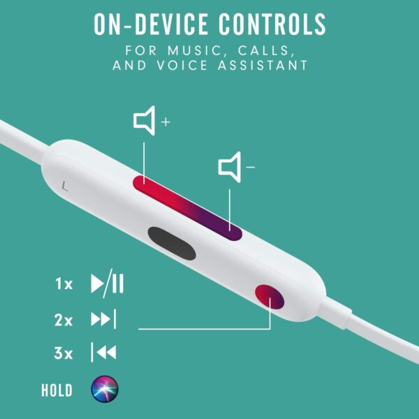Beats Flex Controls
