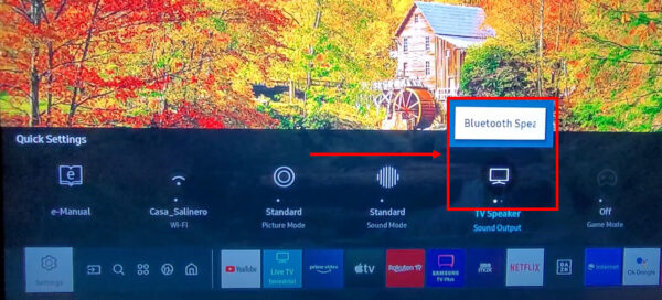 Samsung TV Bluetooth Headphones